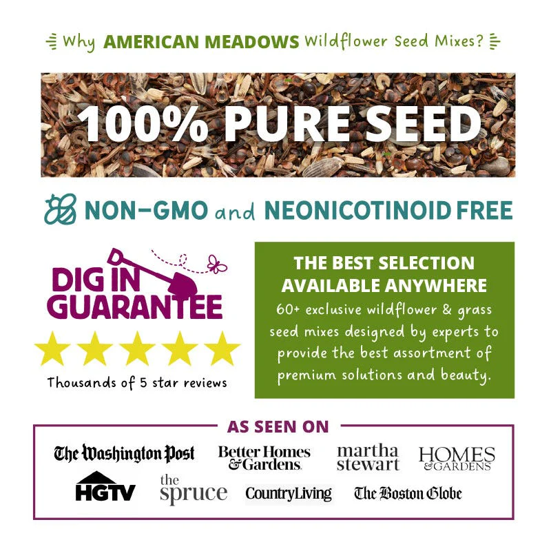 Pacific Northwest Pollinator Wildflower Seed Mix - Image 4